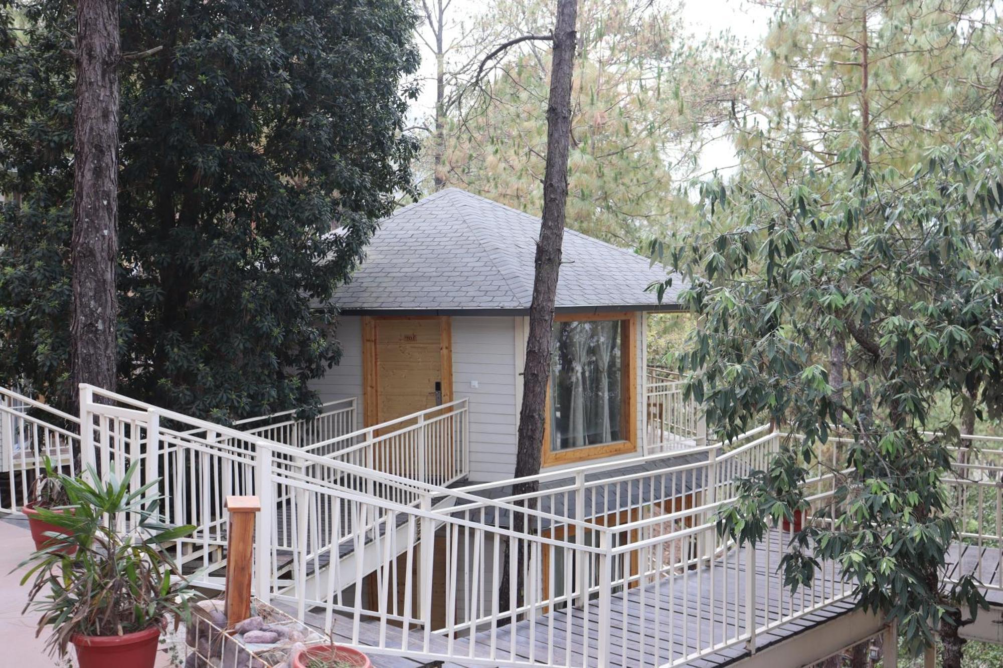Hotel The Woods Retreat Lansdowne Exterior foto